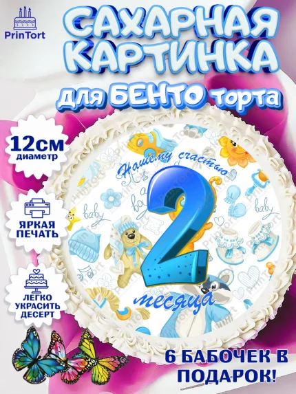 Сахарные круги 12см PT05, Мальчику 2 месяца, Мальчик, 2 месяца, День рождения, арт. PT0508002