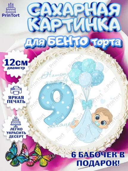 Сахарные круги 12см PT05, Мальчику 9 месяцев, Мальчик, 9 месяцев, День рождения, арт. PT0508138