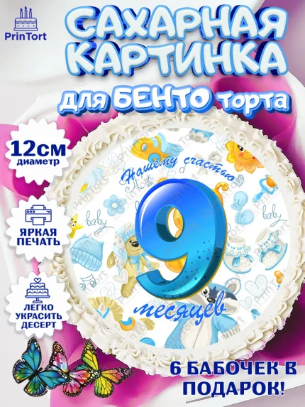 Сахарные круги 12см PT05, Мальчику 9 месяцев, Мальчик, 9 месяцев, День рождения, арт. PT0508142
