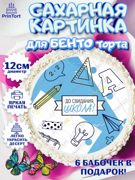 Сахарные круги 12см PT05, Выпускной в школе, Девочка, арт. PT0508591