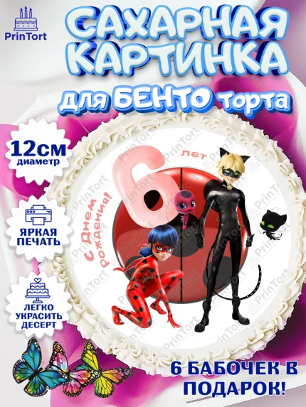Сахарные круги 12см PT05, Леди Баг, Девочка, 6 лет, День рождения, арт. PT0509093