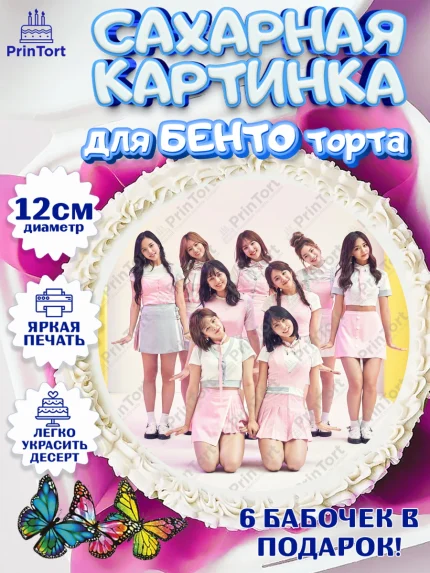 Сахарные круги 12см PT05, Twice, Твайс, Девочка, День рождения, арт. PT0509126