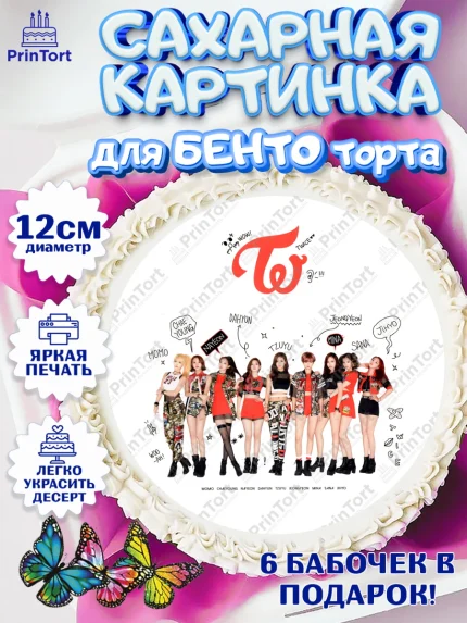 Сахарные круги 12см PT05, Twice, Твайс, Девочка, День рождения, арт. PT0509127