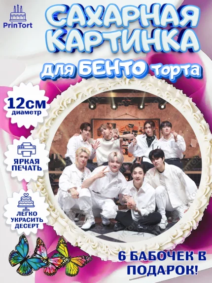 Сахарные круги 12см PT05, Стрей Кидс, Stray Kids, Девочка, День рождения, арт. PT0509171