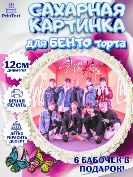 Сахарные круги 12см PT05, Стрей Кидс, Stray Kids, Девочка, День рождения, арт. PT0509176