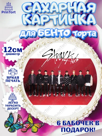 Сахарные круги 12см PT05, Стрей Кидс, Stray Kids, Девочка, День рождения, арт. PT0509183