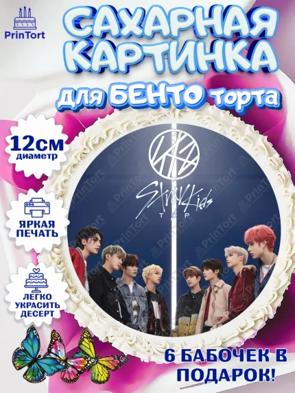 Сахарные круги 12см PT05, Стрей Кидс, Stray Kids, Девочка, День рождения, арт. PT0509184