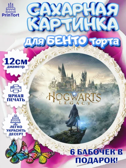 Сахарные круги 12см PT05, Гарри Поттер, Хогвартс Легаси, Девочка, День рождения, арт. PT0509667
