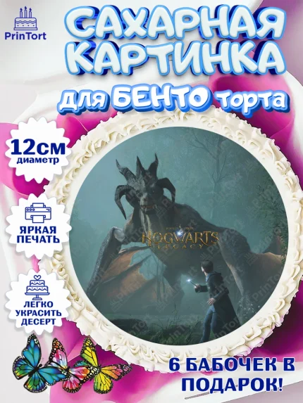 Сахарные круги 12см PT05, Гарри Поттер, Хогвартс Легаси, Девочка, День рождения, арт. PT0509673