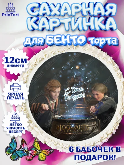 Сахарные круги 12см PT05, Гарри Поттер, Хогвартс Легаси, Девочка, День рождения, арт. PT0509675