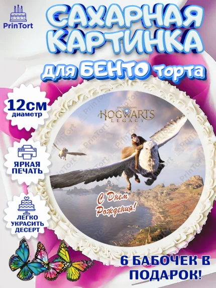 Сахарные круги 12см PT05, Гарри Поттер, Хогвартс Легаси, Девочка, День рождения, арт. PT0509677