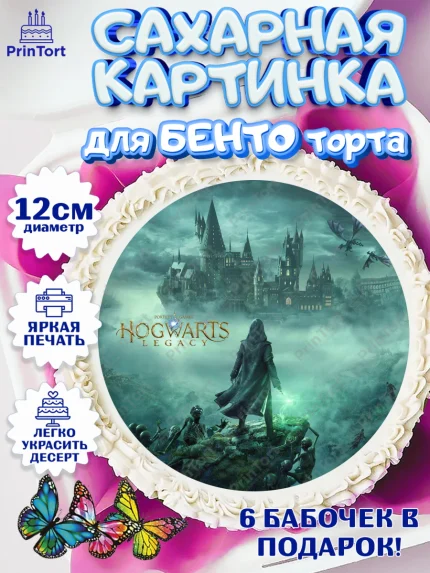 Сахарные круги 12см PT05, Гарри Поттер, Хогвартс Легаси, Девочка, День рождения, арт. PT0509678