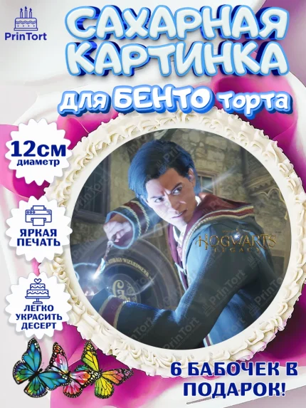 Сахарные круги 12см PT05, Гарри Поттер, Хогвартс Легаси, Девочка, День рождения, арт. PT0509679