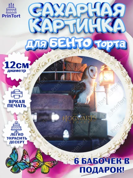 Сахарные круги 12см PT05, Гарри Поттер, Хогвартс Легаси, Девочка, День рождения, арт. PT0509680