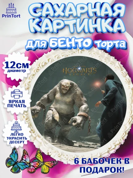Сахарные круги 12см PT05, Гарри Поттер, Хогвартс Легаси, Девочка, День рождения, арт. PT0509681