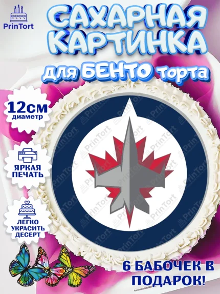 Сахарные круги 12см PT05, НХЛ, Хоккей, Мальчик, День рождения, арт. PT0510135