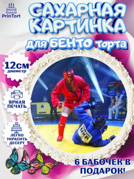 Сахарные круги 12см PT05, Самбо, Борьба, Мальчик, День рождения, арт. PT0510306