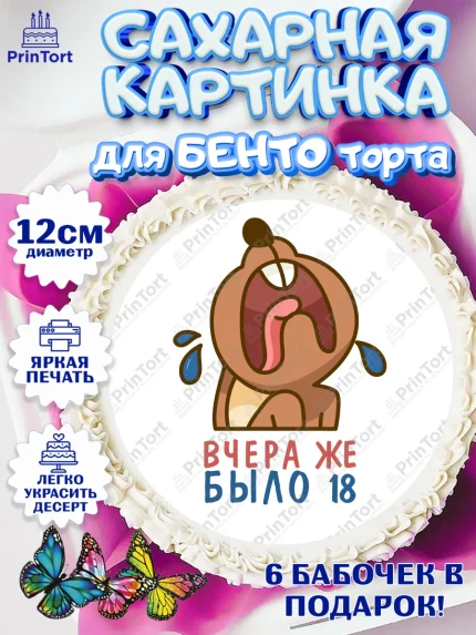 Сахарные круги 12см PT05, Девушке, Вчера же было 18, Девочка, День рождения, арт. PT0510621