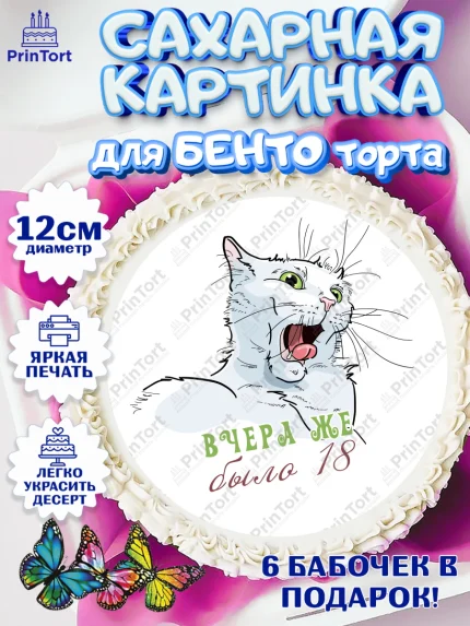 Сахарные круги 12см PT05, Девушке, Вчера же было 18, Девочка, День рождения, арт. PT0510624