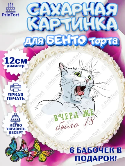 Сахарные круги 12см PT05, Девушке, Вчера же было 18, Девочка, День рождения, арт. PT0510644