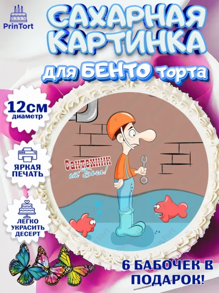 Сахарные круги 12см PT05, Сантехник, Ремонт, Мальчик, День рождения, арт. PT0511019