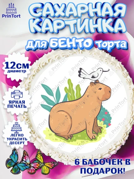 Сахарные круги 12см PT05, Капибара, Девочка, День рождения, арт. PT0511041