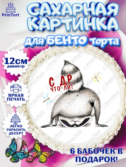 Сахарные круги 12см PT05, Енот, Животные, Девочка, День рождения, арт. PT0511434