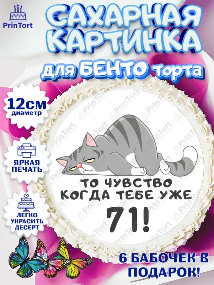 Сахарные круги 12см PT05, с днем рождения, Девушка, 71 год, День рождения, арт. PT0511968