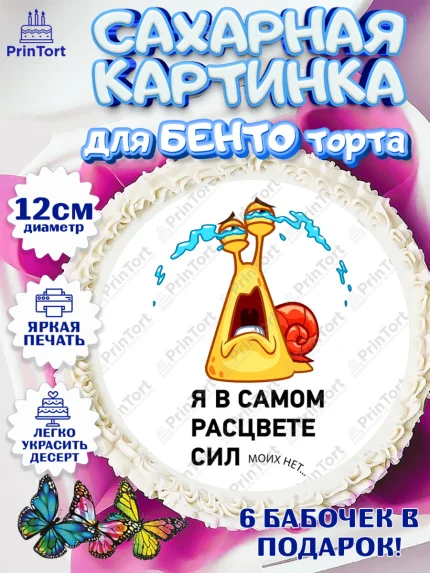 Сахарные круги 12см PT05, с днем рождения, я в самом расцвете сил моих больше нет, Девушка, 87 лет, арт. PT0512126