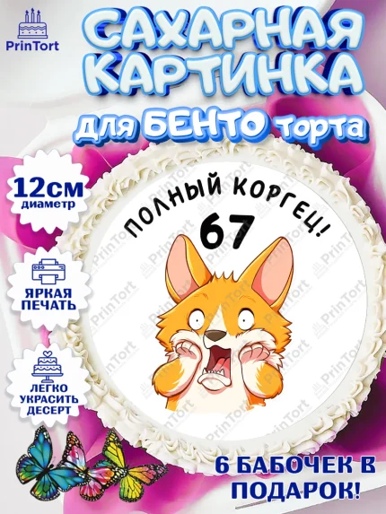 Сахарные круги 12см PT05, с днем рождения, Девушка, 67 лет, День рождения, арт. PT0512248