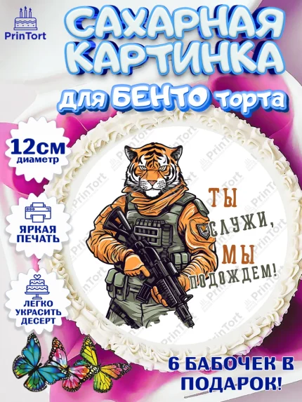 Сахарные круги 12см PT05, Проводы в Армию, Мальчик, арт. PT0512689