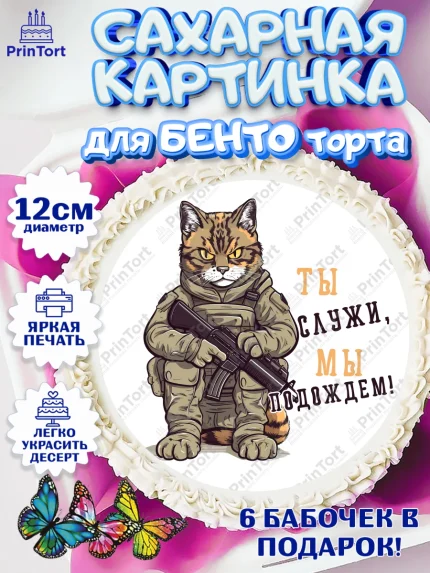 Сахарные круги 12см PT05, Проводы в Армию, Мальчик, арт. PT0512693