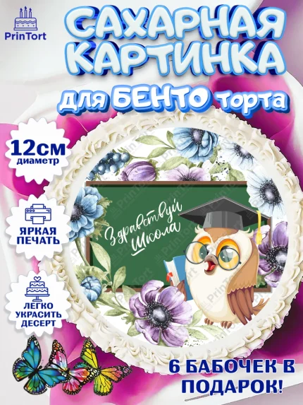 Сахарные круги 12см PT05, 1 сентября, Девочка, День знаний 1 сентября, арт. PT0512804