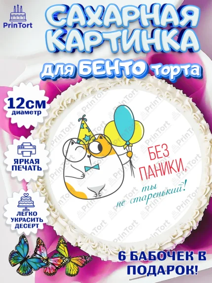 Сахарные круги 12см PT05, Без паники, кот, шарики, корона, смайл, Мальчик, День рождения, арт. PT0516294