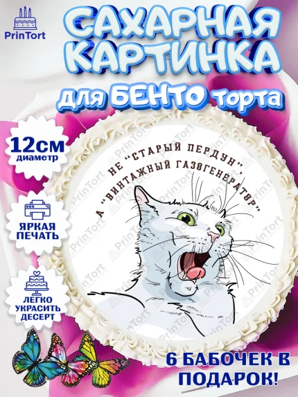 Сахарные круги 12см PT05, Не старый пердун, кот, джип, монеты, звезды, Мальчик, День рождения, арт. PT0516332