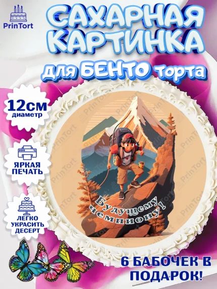 Сахарные круги 12см PT05, Скалолазание, горы, Девочка, День рождения, арт. PT0516706