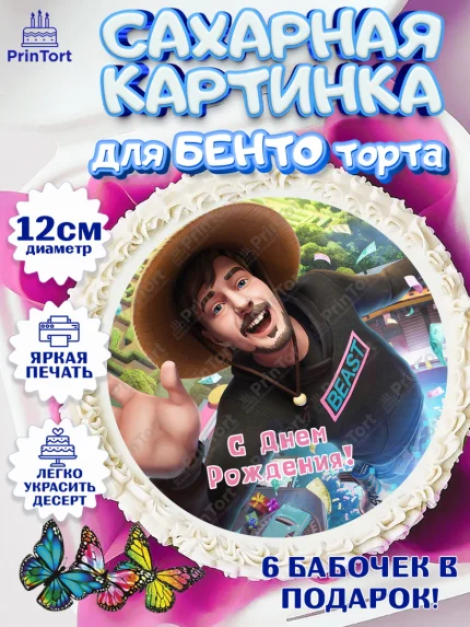 Сахарные круги 12см PT05, Мистер Бист, mister beast, ютуб, youtube, Девочка, День рождения, арт. PT0517020