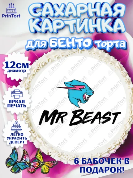Сахарные круги 12см PT05, Мистер Бист, mister beast, ютуб, youtube, Девочка, День рождения, арт. PT0517026