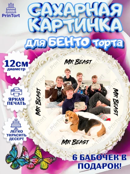 Сахарные круги 12см PT05, Мистер Бист, mister beast, ютуб, youtube, Девочка, День рождения, арт. PT0517027