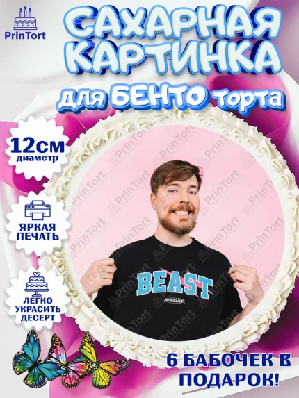 Сахарные круги 12см PT05, Мистер Бист, mister beast, ютуб, youtube, Девочка, День рождения, арт. PT0517029