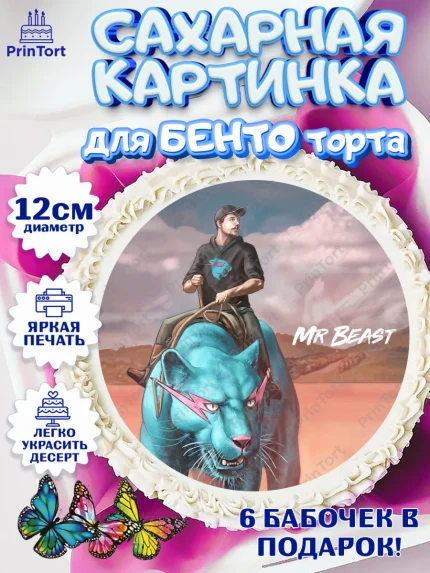 Сахарные круги 12см PT05, Мистер Бист, mister beast, ютуб, youtube, Девочка, День рождения, арт. PT0517031