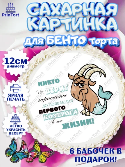 Сахарные круги 12см PT05, Гороскоп Козерог, козерог, шарики, подарок, Девочка, День рождения, арт. PT0517096