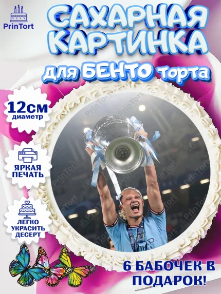 Сахарные круги 12см PT05, Эрлинг Холланд, футболист Эрлинг Холланд, Мальчик, День рождения, арт. PT0517111