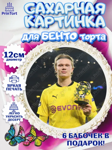 Сахарные круги 12см PT05, Эрлинг Холланд, футболист Эрлинг Холланд, Мальчик, День рождения, арт. PT0517114