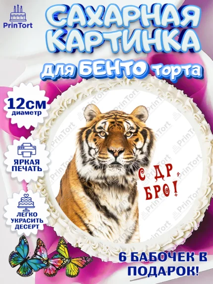 Сахарные круги 12см PT05, Тигр, джип, корона, Мальчик, День рождения, арт. PT0517355