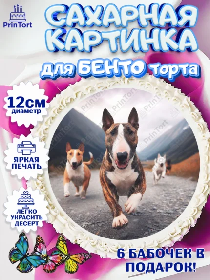 Сахарные круги 12см PT05, Бультерьер, Собака, Девочка, День рождения, арт. PT0518323