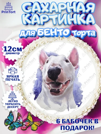 Сахарные круги 12см PT05, Бультерьер, Собака, Девочка, День рождения, арт. PT0518326