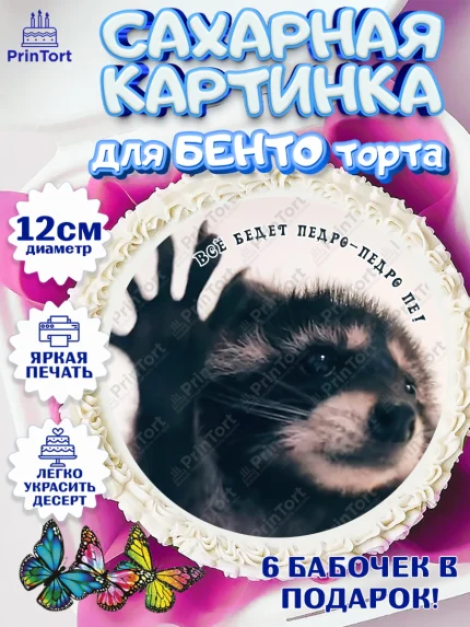 Сахарные круги 12см PT05, Енот Педро-педро, Енот, педро-педро, танцующий енот, Девочка, арт. PT0518479