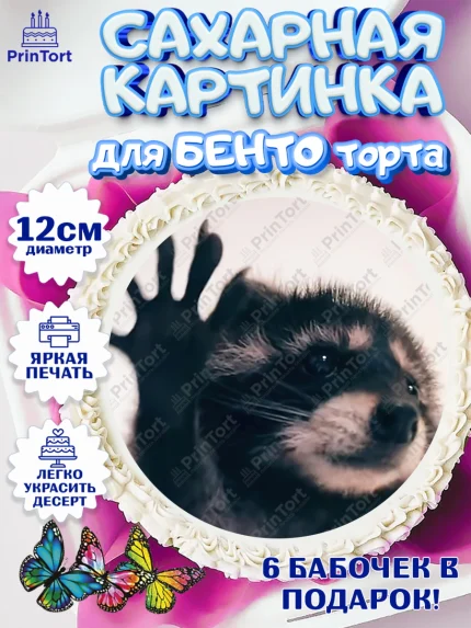 Сахарные круги 12см PT05, Енот Педро-педро, Енот, педро-педро, танцующий енот, Девочка, арт. PT0518486