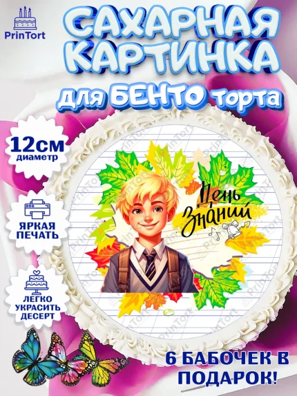 Сахарные круги 12см PT05, 1 сентября, Мальчик, школьник, ученик, учебник, школа, день знаний, осень, арт. PT0518608